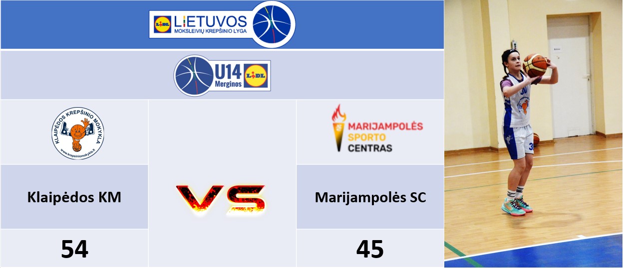 2008metaipriesmarijampole