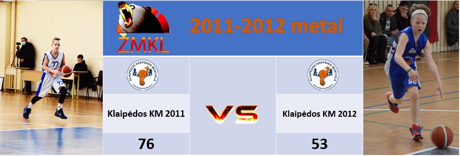 2011prieš2012metusžmkl