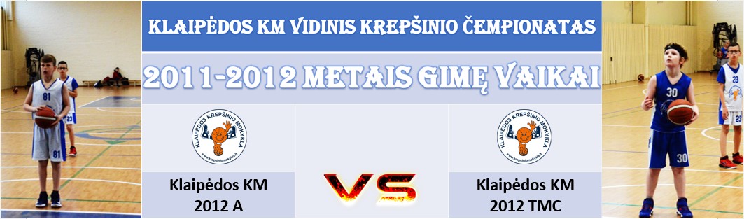 2012METAIPRIESŠTOMO2012METUS