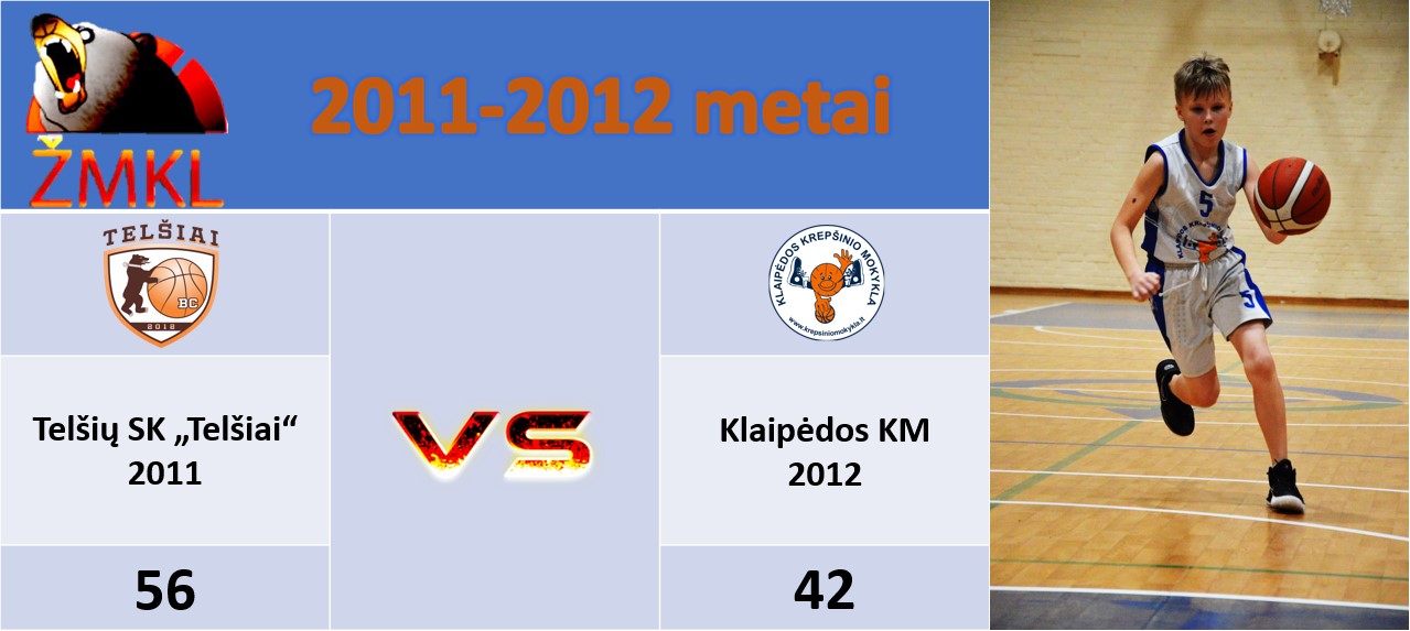 2012METAISUZAIDESUTELSIAIS