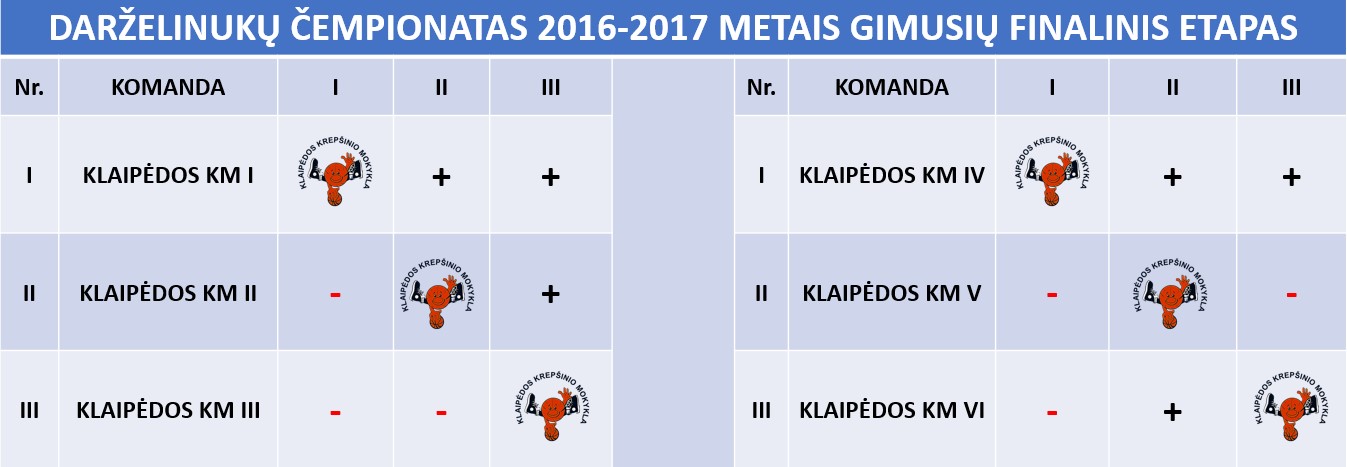 FINALINIS20162017 METAI