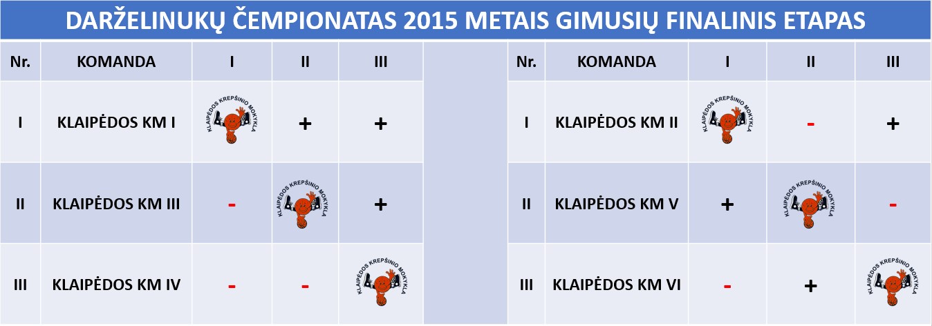 FINALINIS 2015 METAI