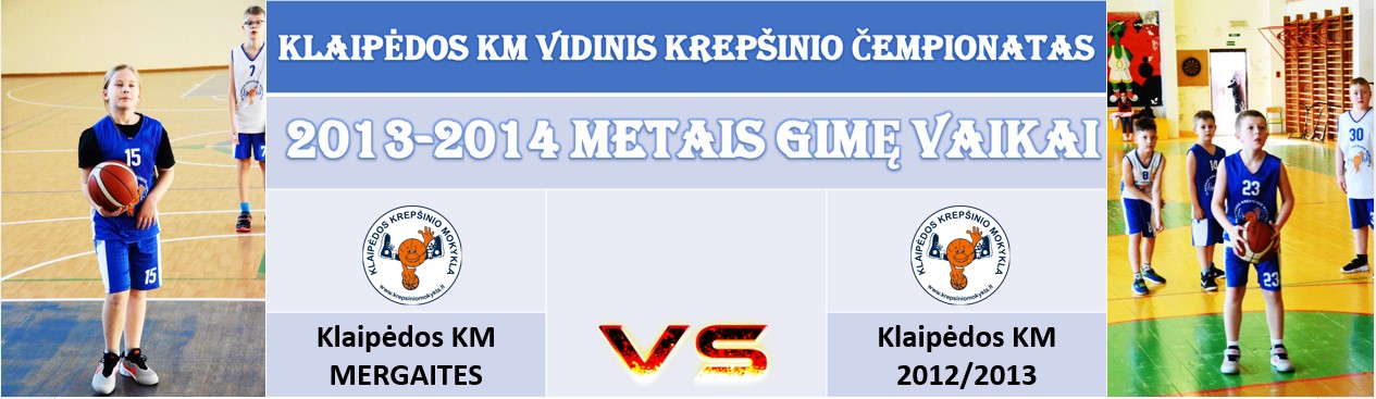VIDINIS1