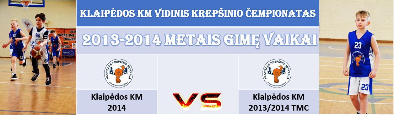 VIDINIS2