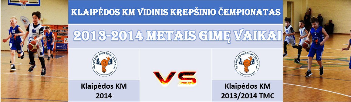 VIDINIS2013 2014METAI2014PRIES2013