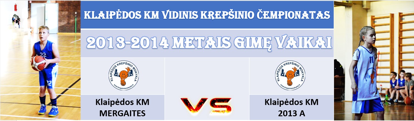 VIDINIS2013APRIESMERGAITES