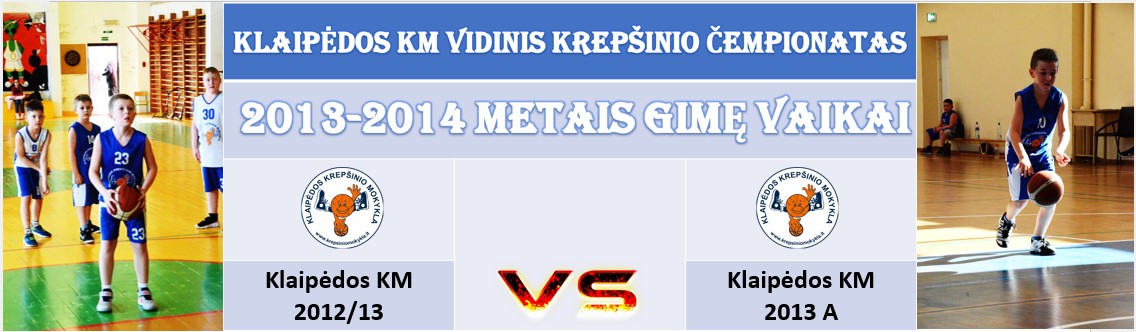 VIDINIS2013APRIEŠ 2013