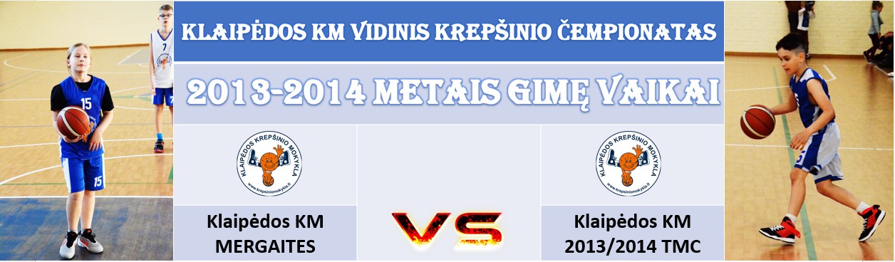 VIDINIS3
