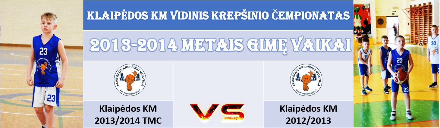 VIDINIS5