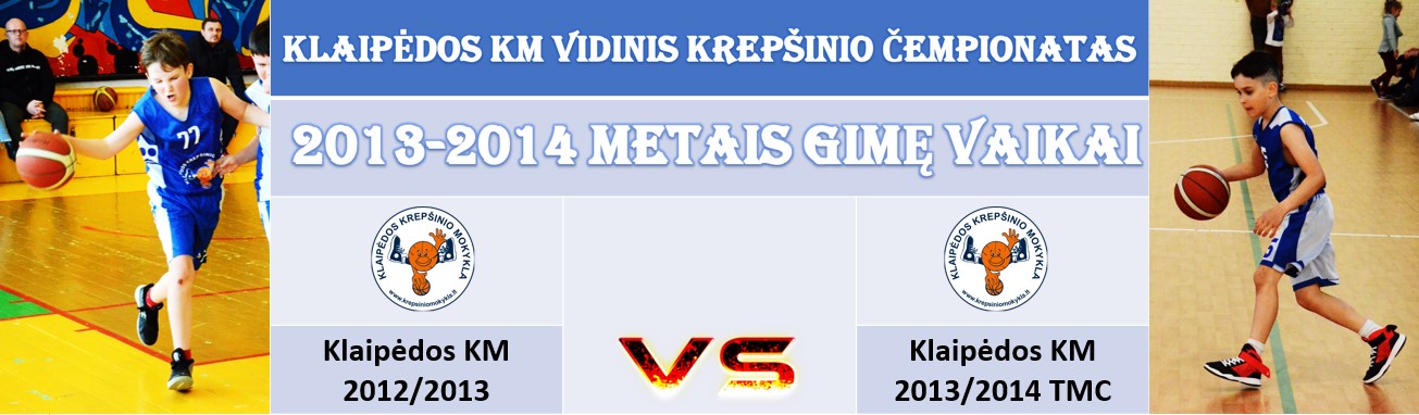 VIDINIS6