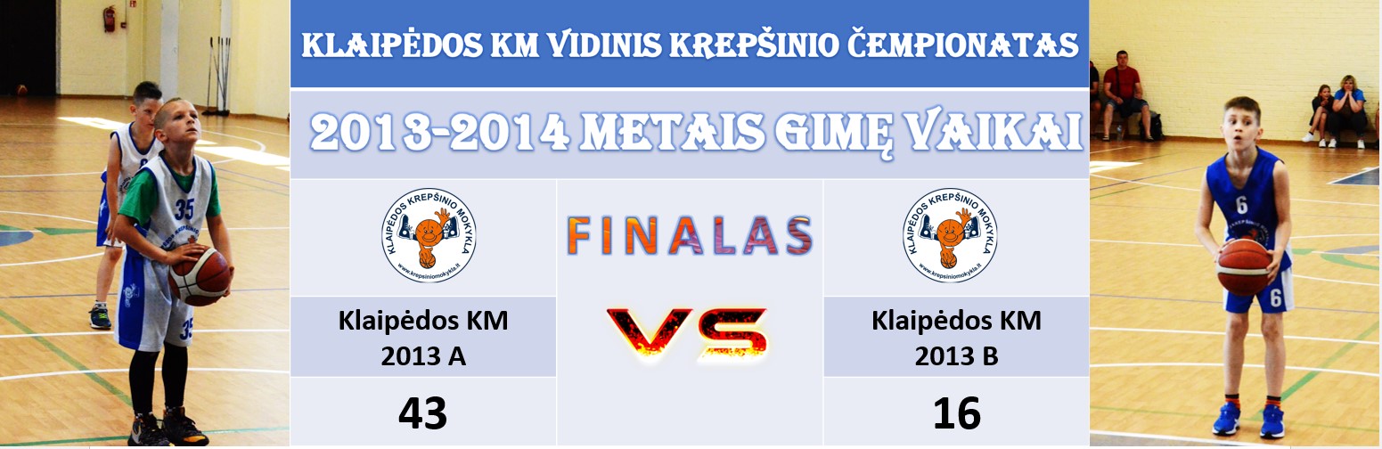 VIDINIS FINALAS AIVARO 2013 METAI