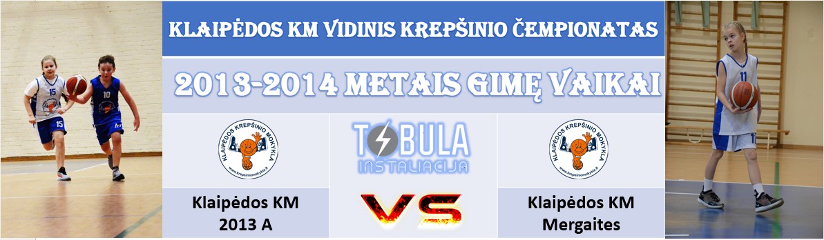 kkmvidinis2013apriesmergaites