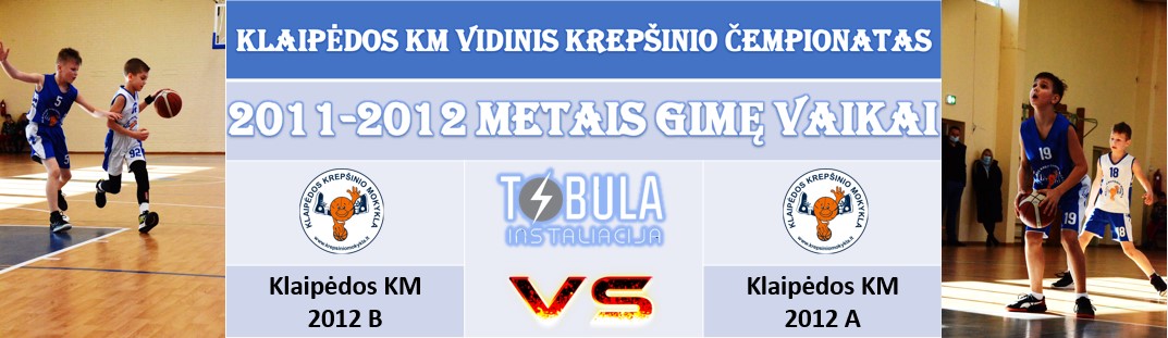 kkmvidinisantrasratas2012metai