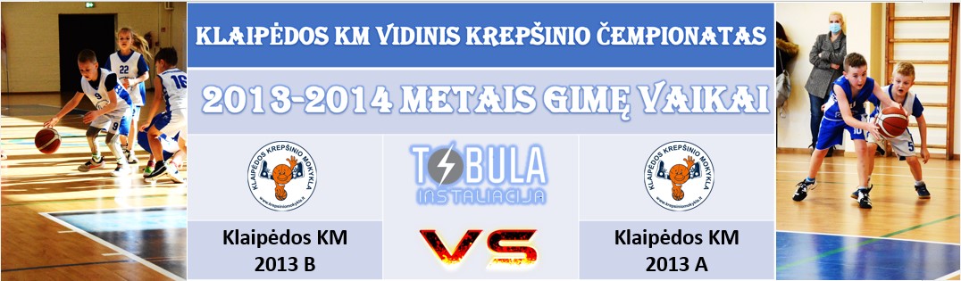 kkmvidinisantrasratas2013metai