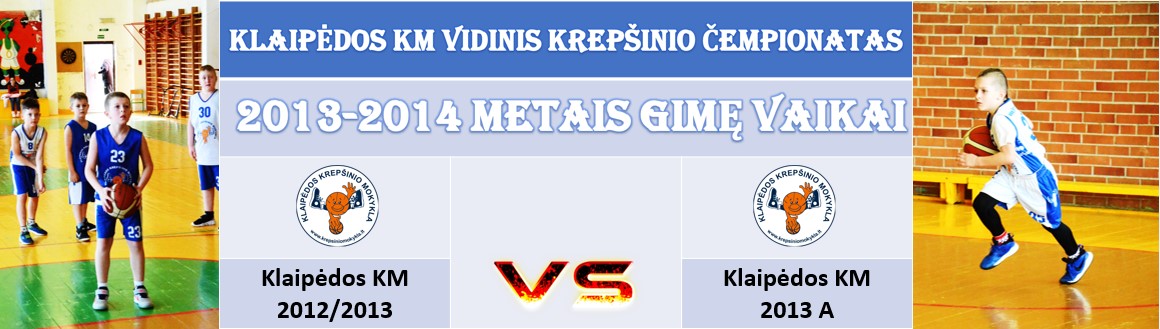 vidinis20122013metaipries2013a