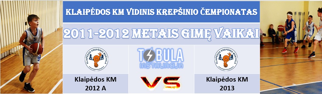 vidinis2012apries2013