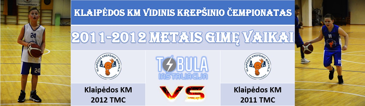 vidinis2012pries2011metai