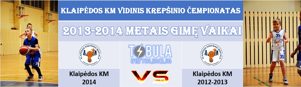 vidinis2013kkm2014prieskkm212