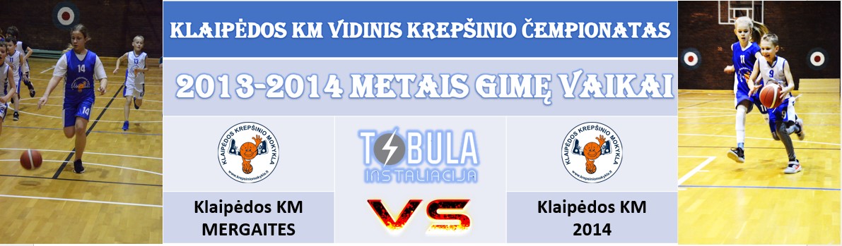 vidinismergaitespries201